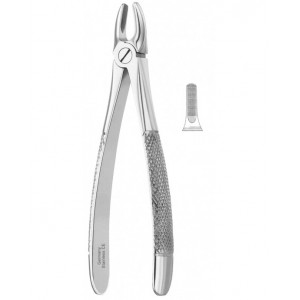 Extracting Forceps, English Pattern